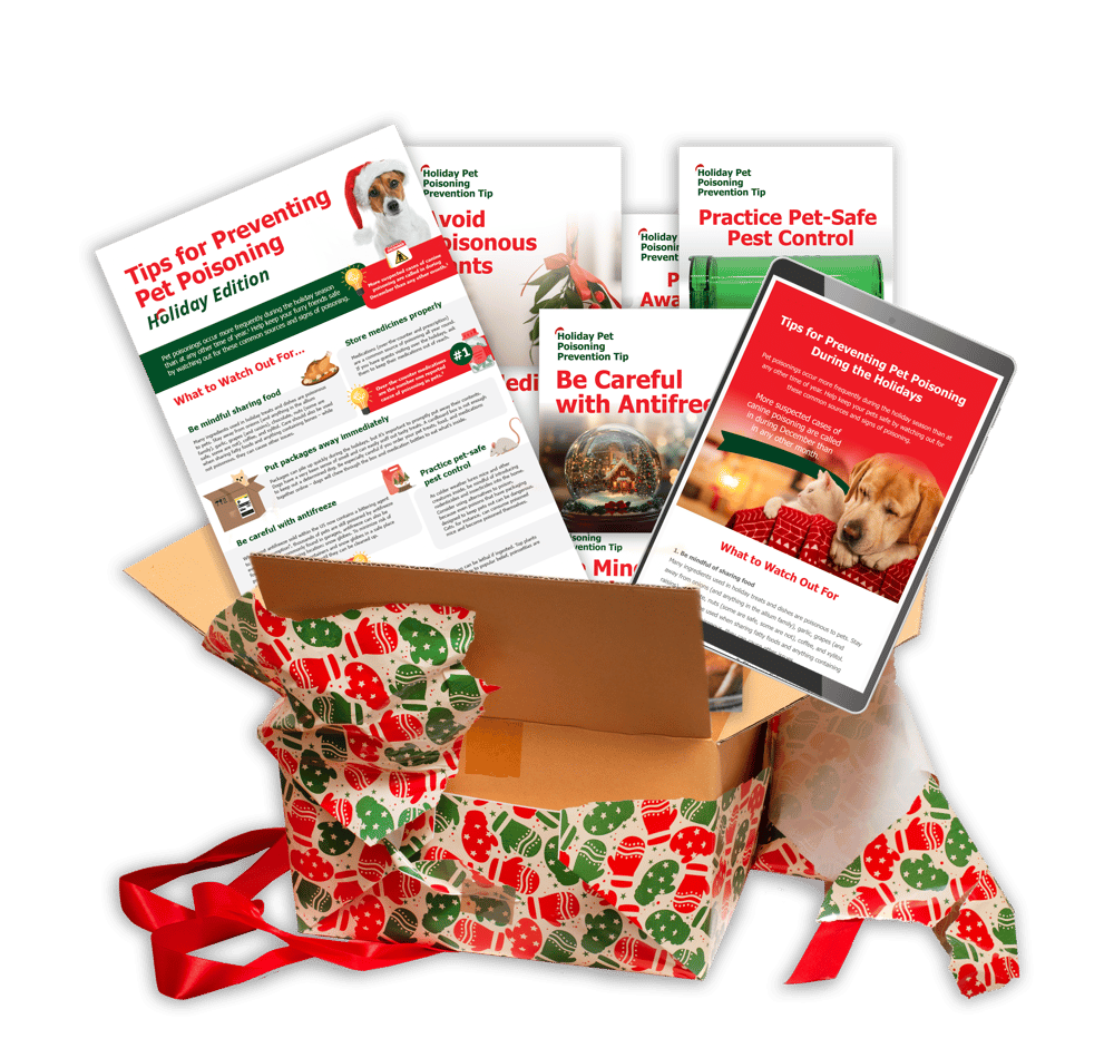 Pet Poisoning Prevention Toolkit Photo Inspiration